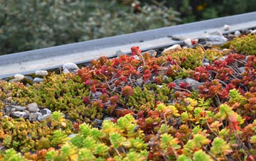 the cost of Blossomfield green roof installation