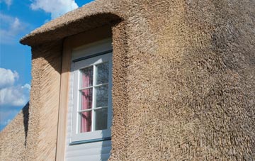 Blossomfield thatch roof disadvantages